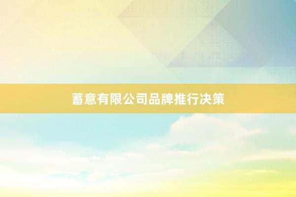 蓄意有限公司品牌推行决策