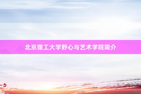北京理工大学野心与艺术学院简介